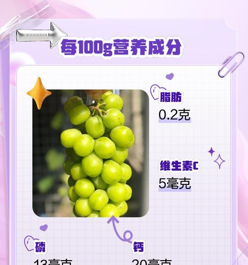 阳光玫瑰葡萄施肥的最佳方法是什么？如何使用水肥一体设施？