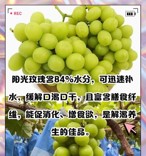 阳光玫瑰葡萄施肥的最佳方法是什么？如何使用水肥一体设施？