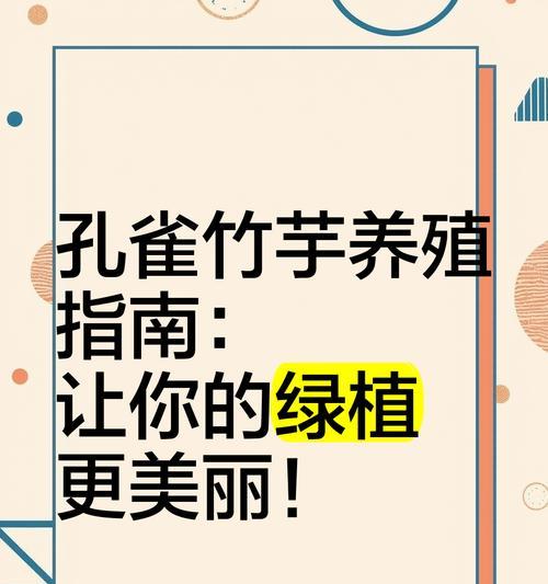 孔雀竹芋的养殖技巧有哪些？如何保持其鲜艳的色彩？