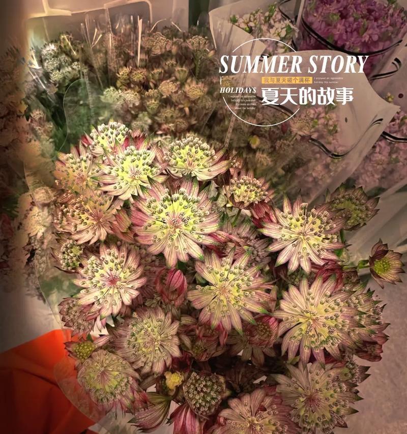 热搜中漂亮的花语有哪些含义？