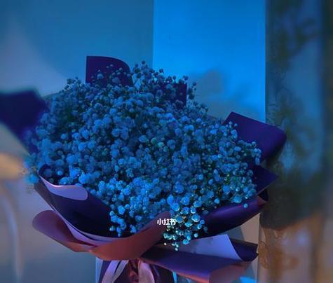 蓝色满天星的花语代表什么含义？