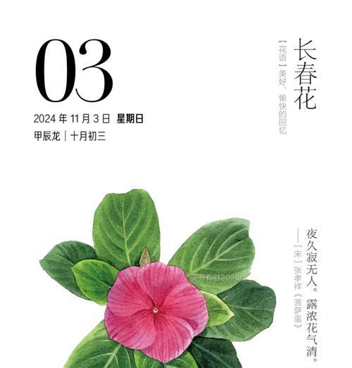 哪种花的花语能形容少女的美？这种花语有何特别之处？