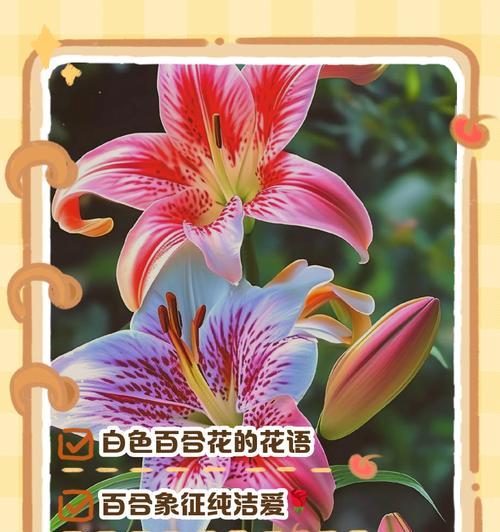 哪种花的花语能形容少女的美？这种花语有何特别之处？