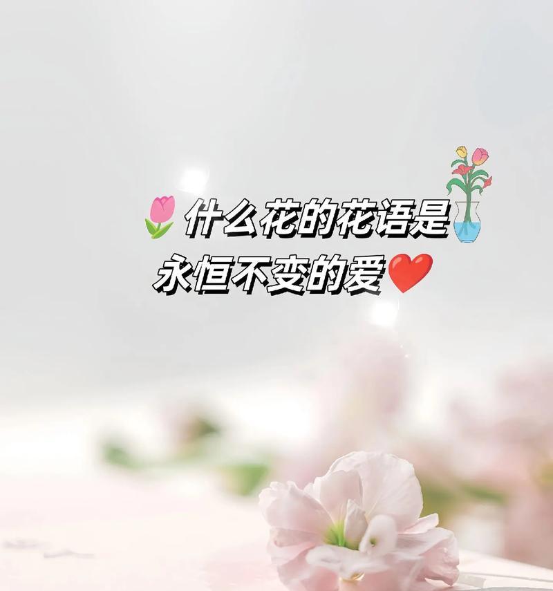 哪种花象征着永恒不变的爱？