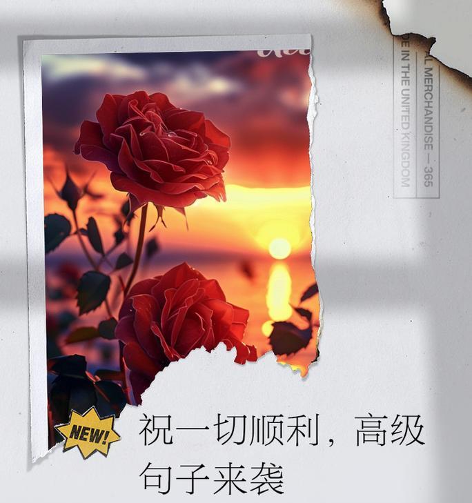 哪种花语象征着一切顺利？它通常用于什么场合？