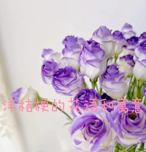 洋桔梗有哪些独特的花语？