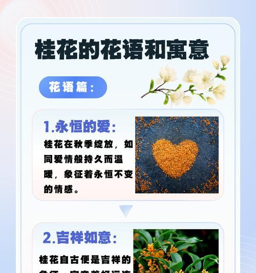纯洁爱情的花语在道具中如何体现？