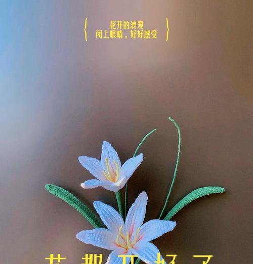 纯洁爱情的花语在道具中如何体现？
