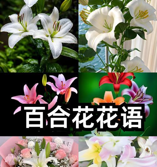 表达浪漫情感的花语有哪些？哪种花最能代表浪漫？