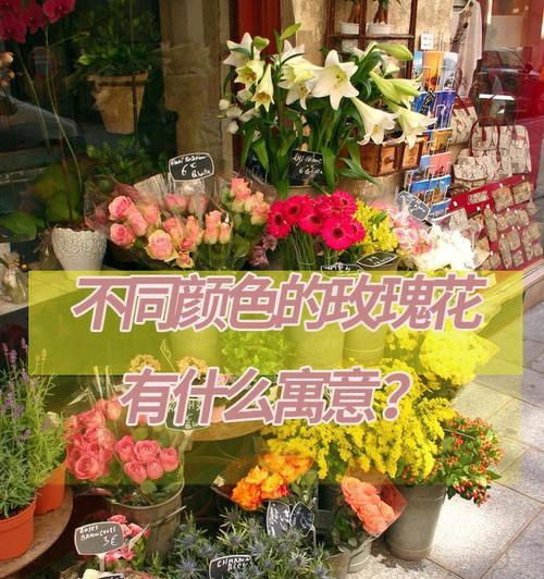 三十六朵玫瑰花的含义是什么？