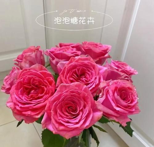 商场选购玫瑰花有何特别含义？