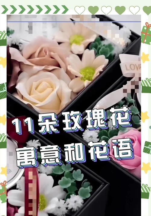 玫瑰花的特征和花语是什么？玫瑰花代表了什么？