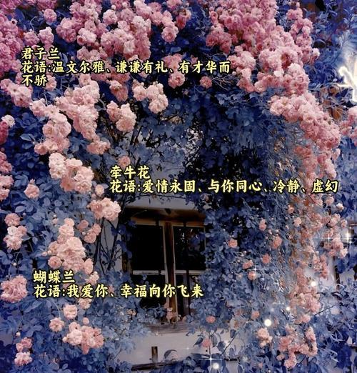 浪漫花语在情侣间如何表达？
