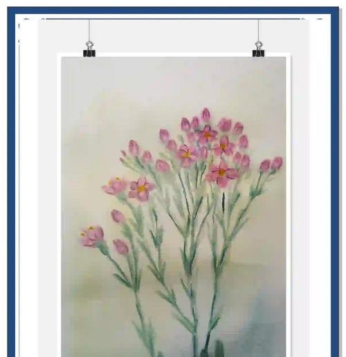 6月6日生日的花语是什么？6月6日出生的人适合哪种花？
