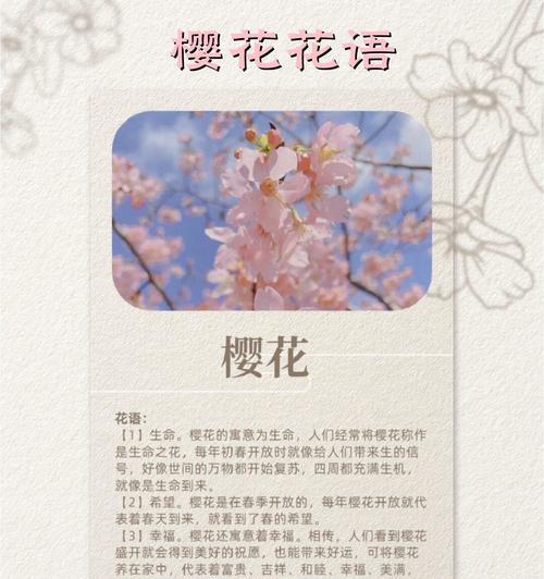 希望与拯救的花语有哪些？它们分别代表什么？