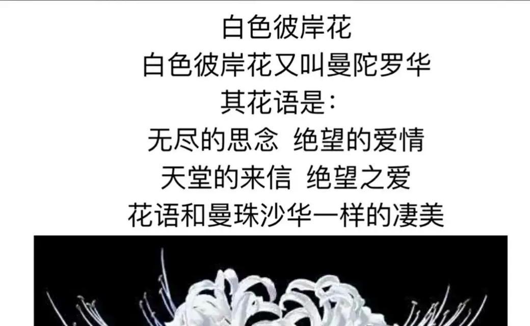 希望与拯救的花语有哪些？它们分别代表什么？