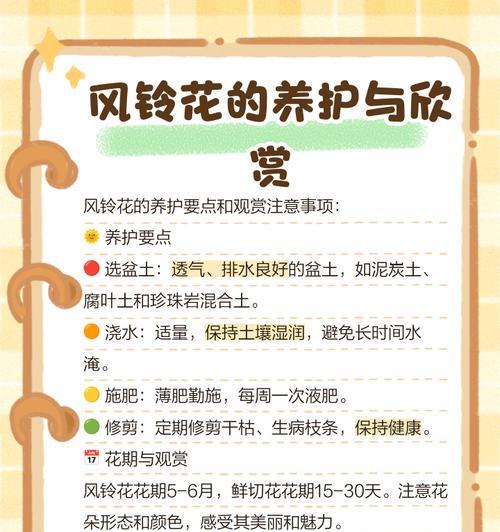 风铃花送给闺蜜有何含义？它的花语是什么？