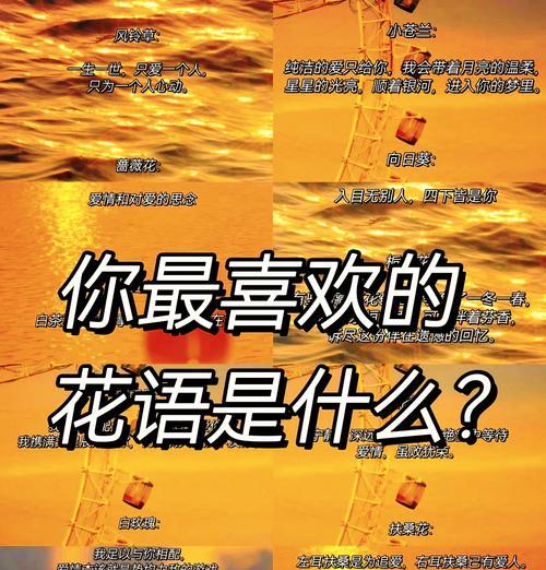 什么花语是暗恋？哪种花可以表达默默的爱意？