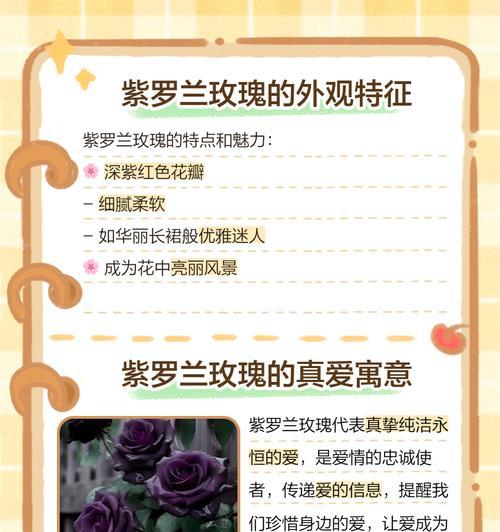 紫罗兰花语的简单解释是什么？