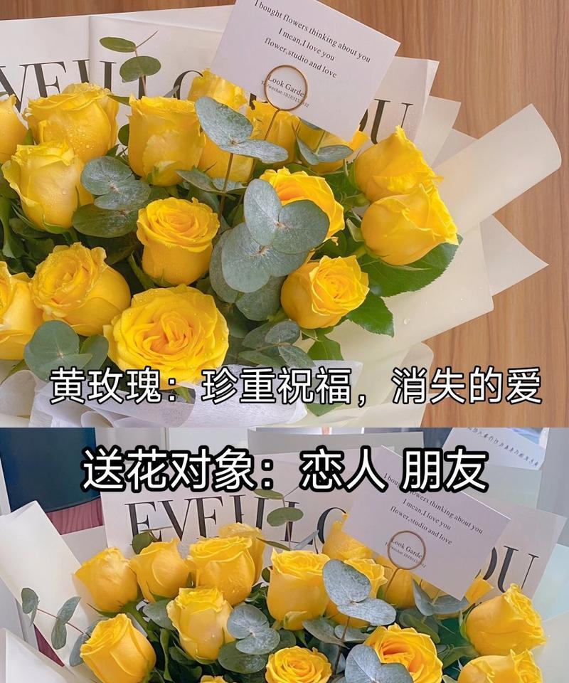惊喜玫瑰花有何寓意？送花时应注意什么？