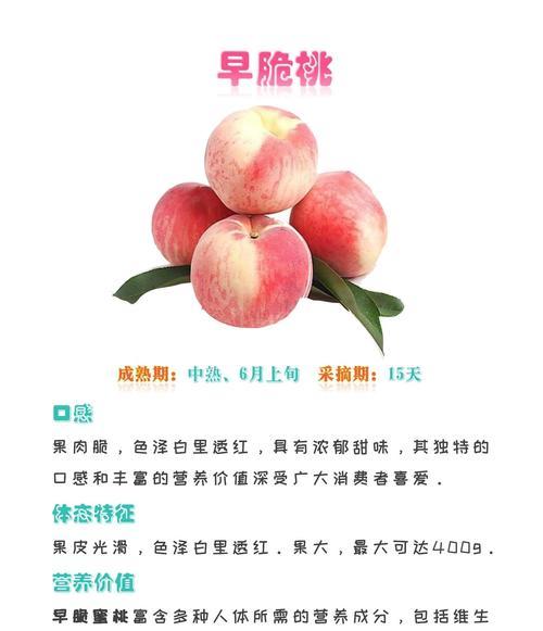 五寿桃的寓意与花语有哪些？它们各自代表什么？