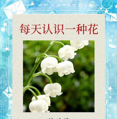 铃兰作为礼物的花语含义是什么？