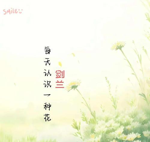 绿剑兰的花语寓意是什么？它象征着什么？