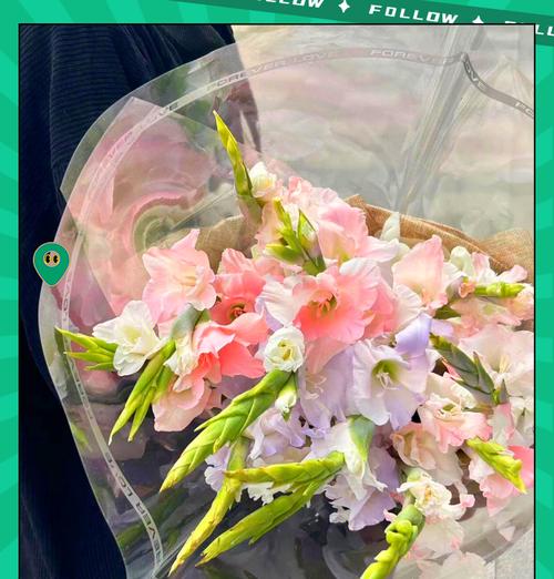 绿剑兰的花语寓意是什么？它象征着什么？