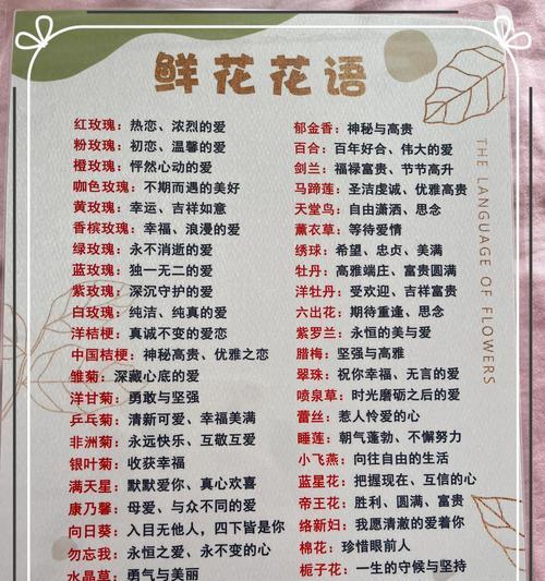 乱世佳人花语有何深意？送花时应注意什么？