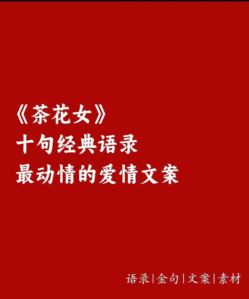 乱世佳人花语有何深意？送花时应注意什么？