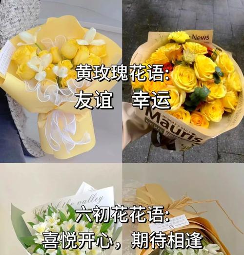 表达兄妹情深的花语有哪些？如何选择合适的鲜花？