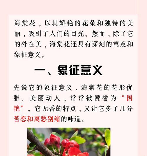花语心情不错什么意思？它表达了哪些积极的情感？