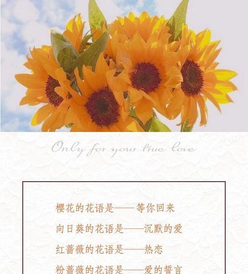 那一季花语代表了什么？