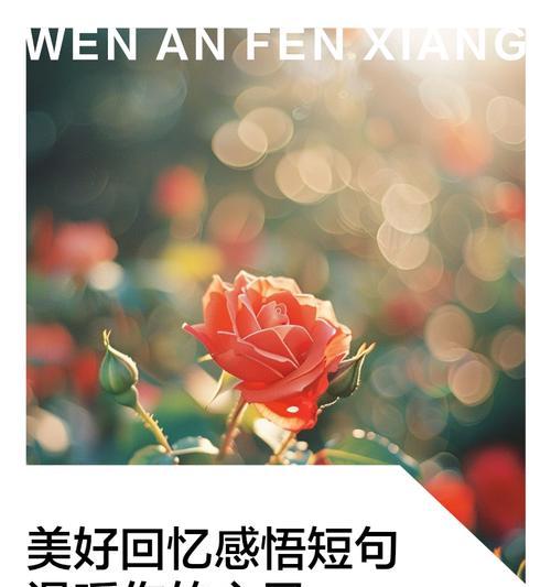 拥有美好回忆的花语是什么？它象征着什么？