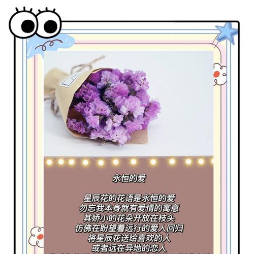 拥有美好回忆的花语是什么？它象征着什么？