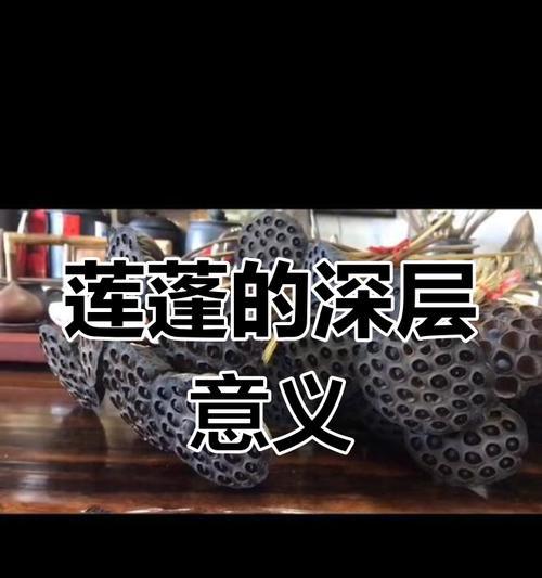 莲蓬的寓意和花语是什么意思？它象征着什么？