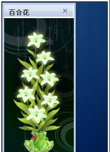 花藤的花语和寓意是什么？如何用花藤表达情感？