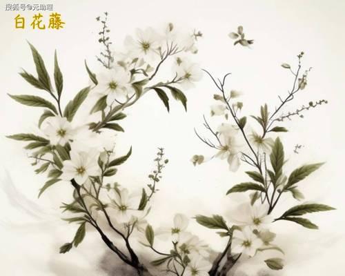 花藤的花语和寓意是什么？如何用花藤表达情感？