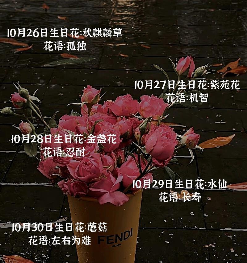 366天生日花语日历是什么？每天的花语都有哪些特别含义？
