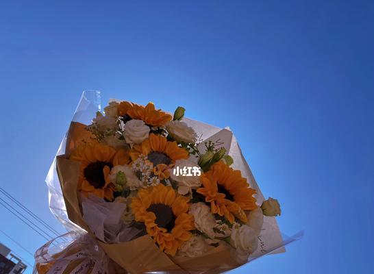 艾特宝宝的花语有何深意？它适合什么样的场合？