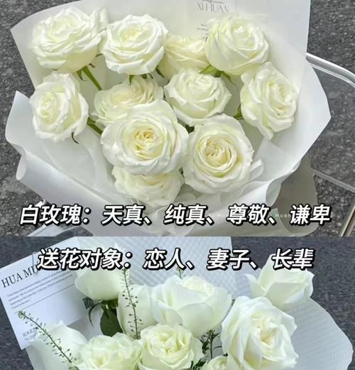 情人浪漫的花语是什么？如何用花表达爱意？