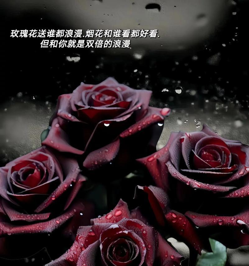黑色花朵的花语是什么？