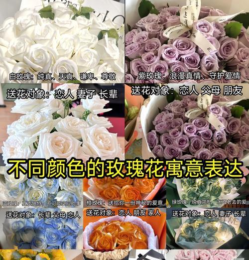 玫瑰的闺蜜花语和寓意是什么？
