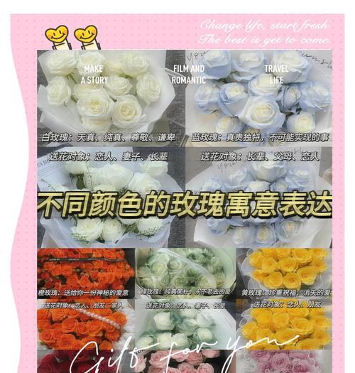 玫瑰的闺蜜花语和寓意是什么？