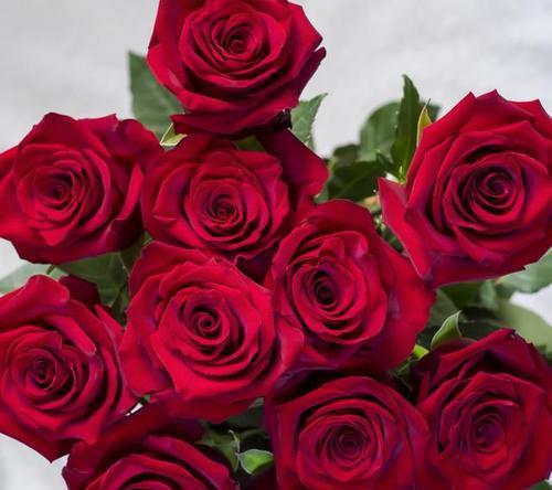 网友送的花通常有什么花语？它代表了什么？