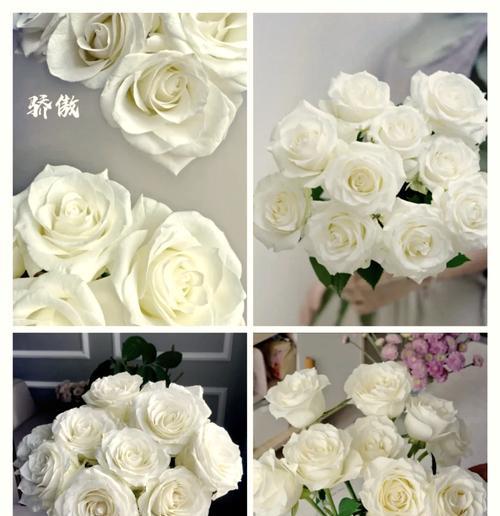 五朵玫瑰花的花语是什么？