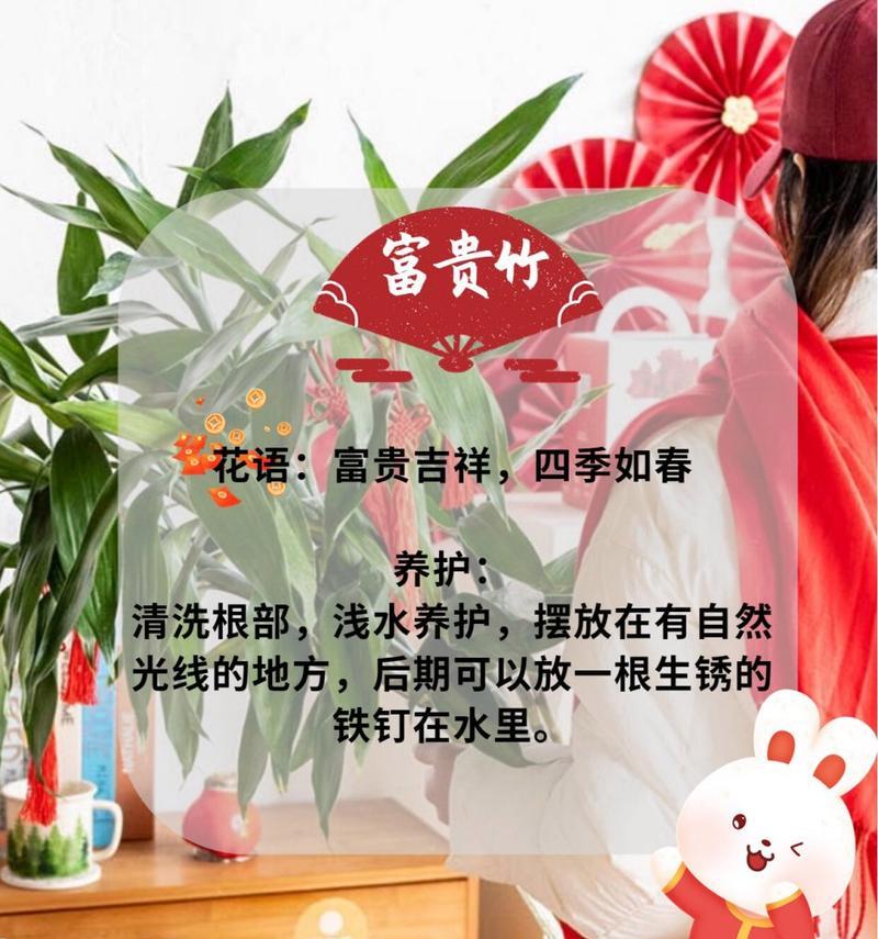 坚强一点的花语是什么？它传递了怎样的信息？