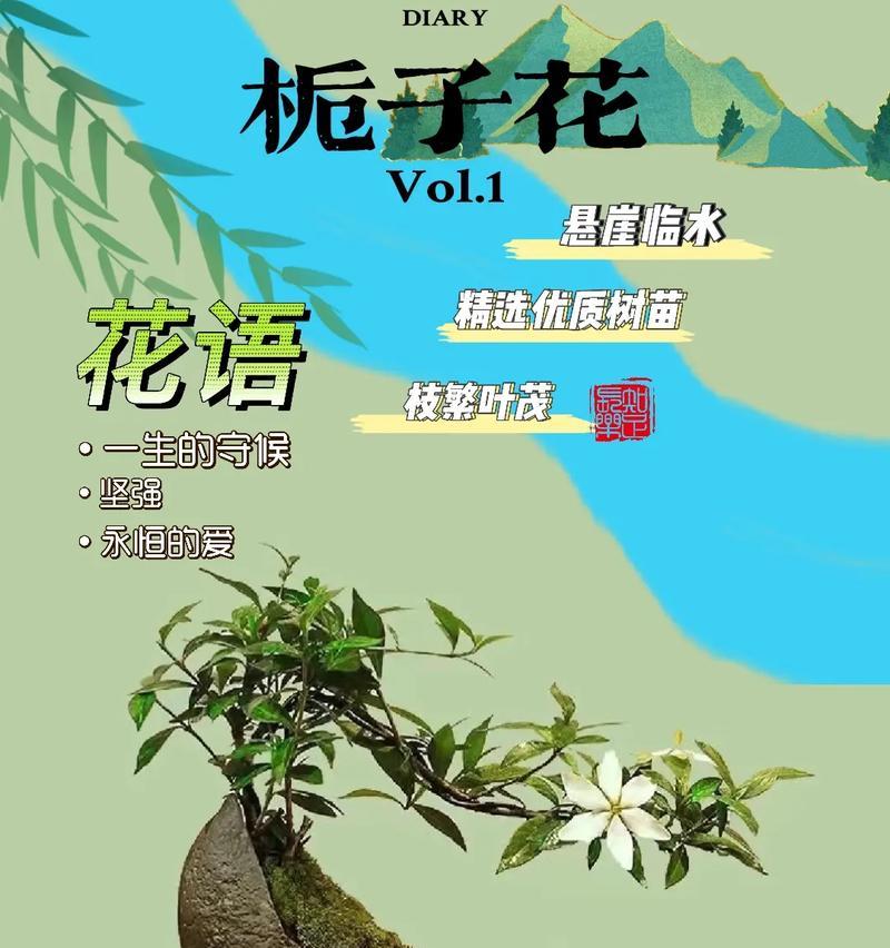 坚强一点的花语是什么？它传递了怎样的信息？