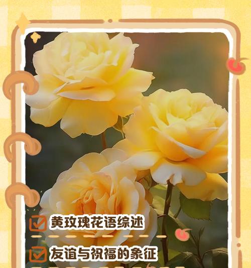 玫瑰花语中“人间美味”代表什么？