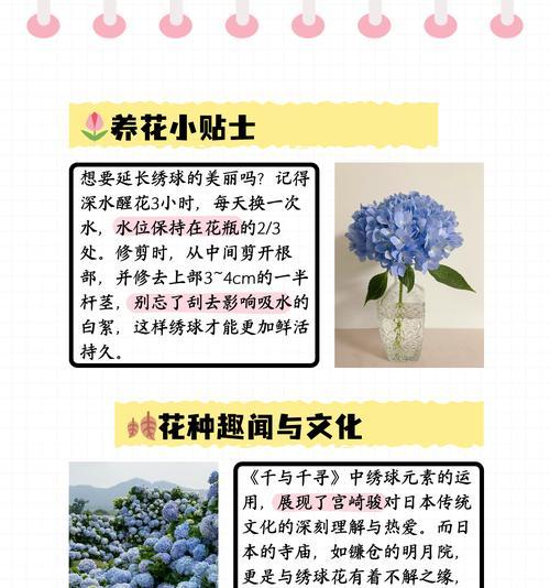女生送花时花语是什么？花语中隐藏的含义是什么？